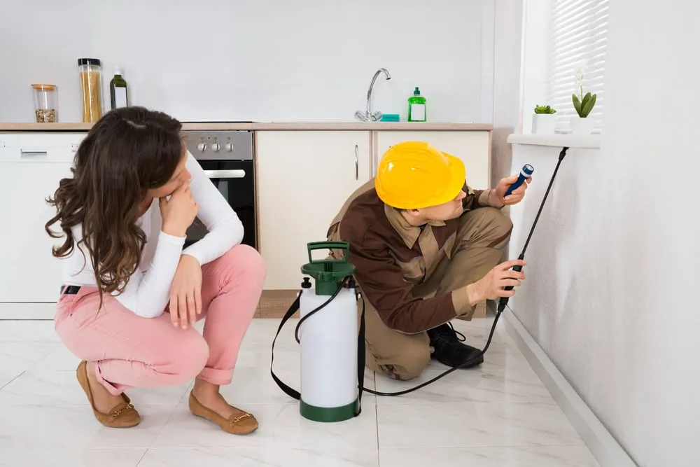 Campbelltown Building & Pest Inspector